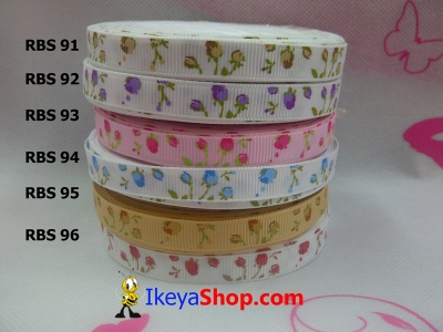 Pita RBS 91 96  large2